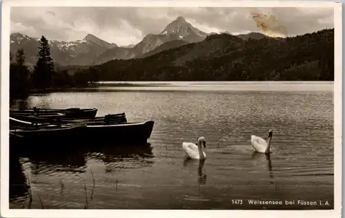 41005 - Deutschland - Füssen , Weissensee - gelaufen