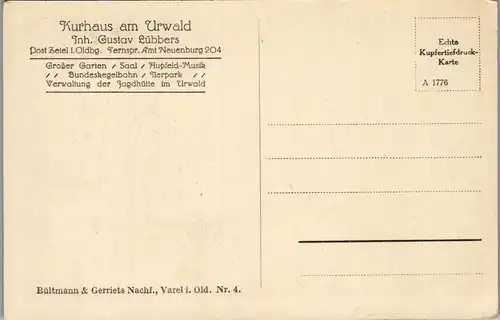 41055 - Deutschland - Am Urwald , Kurhaus , Das Morsche stürzt , Inh. Gustav Lübbers - nicht gelaufen