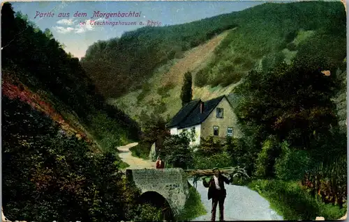 41086 - Deutschland - Trechtinghausen am Rhein , Partie aus dem Morgenbachtal - gelaufen