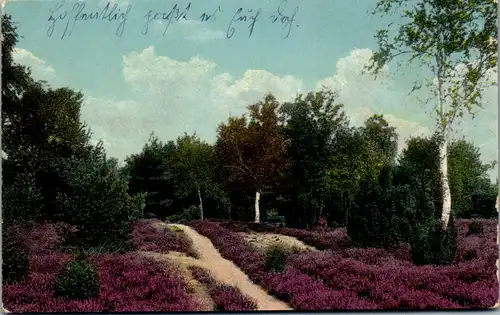 41213 - Deutschland - Lüneburger Heide - gelaufen