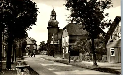 41274 - Deutschland - Frauenwald , Straßenpartie - gelaufen