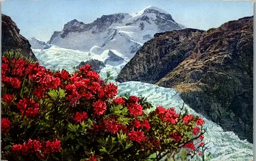 41329 - Künstlerkarte - Rostblättrige Alpenrose - nicht gelaufen