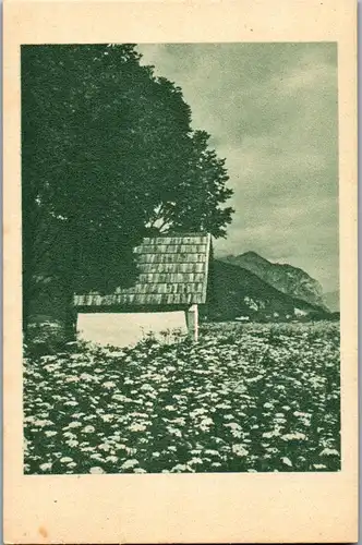 41342 - Landschaft - Wiese , Kapelle , Hütte - nicht gelaufen