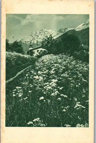 41344 - Landschaft - Wiese , Haus , Hütte - nicht gelaufen