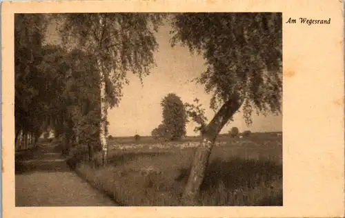 41355 - Landschaft - Am Wegesrand , Allee , Bäume - nicht gelaufen