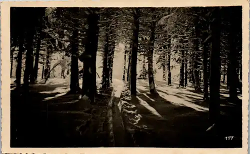 41359 - Landschaft - Winterlandschaft , Wald - nicht gelaufen