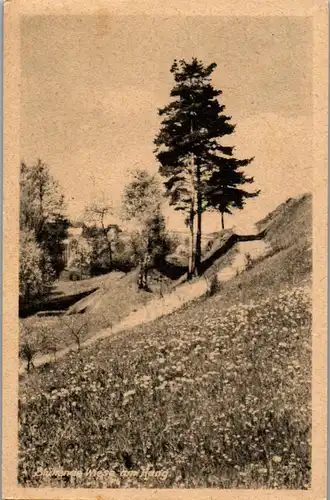 41369 - Landschaft - Blühende Wiese am Hang - nicht gelaufen