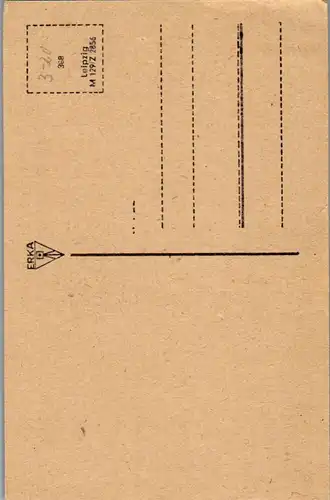 41369 - Landschaft - Blühende Wiese am Hang - nicht gelaufen