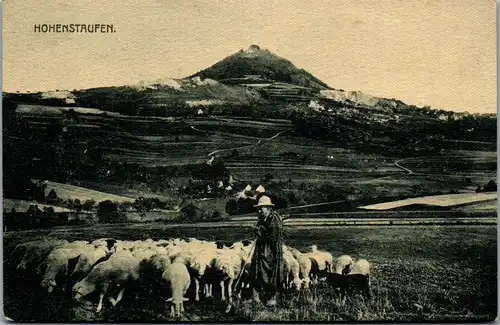 41383 - Deutschland - Hohenstaufen , Schafhirte , Schafe , Schafherde - gelaufen