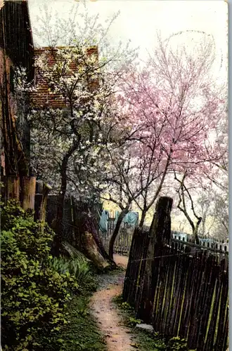 41427 - Künstlerkarte - Motiv , Blühende Bäume , Gehweg - gelaufen