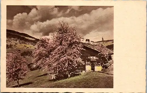 41435 - Landschaft - Blühender Baum , Berge , Haus - nicht gelaufen