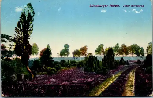 41451 - Deutschland - Lüneburger Heide , Alter Heideweg , Feldpost - gelaufen