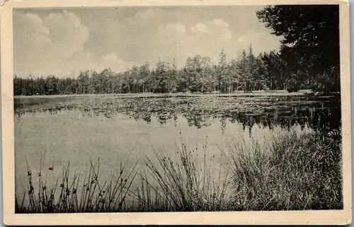 41535 - Deutschland - Gehren i. Thür. , Seerosenteich im Esbachswalde - nicht gelaufen