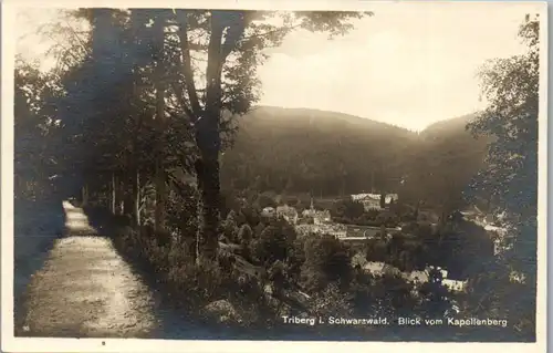 41550 - Deutschland - Triberg i. Schwarzwald , Blick vom Kapellenberg - nicht gelaufen