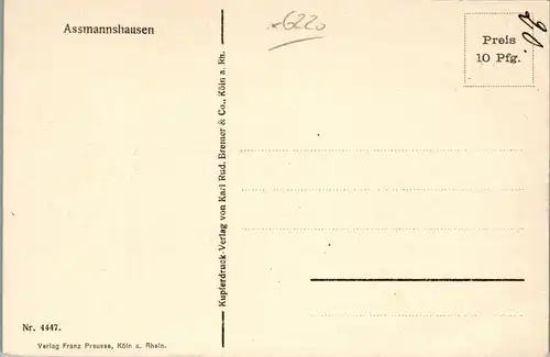 41552 - Deutschland - Assmannshausen , Dampfer , Schiff , Panorama - nicht gelaufen