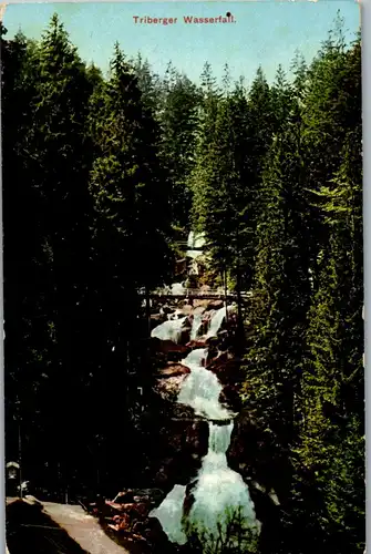 41555 - Deutschland - Triberg , Triberger Wasserfall - gelaufen