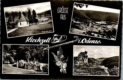 41896 - Deutschland - Kirchzell i. Odenwald , Amorsbrunn , Ruine Wildenburg , Waldleiningen - gelaufen