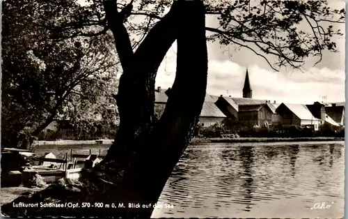 41938 - Deutschland - Schönsee Opf. , Blick auf den See - gelaufen