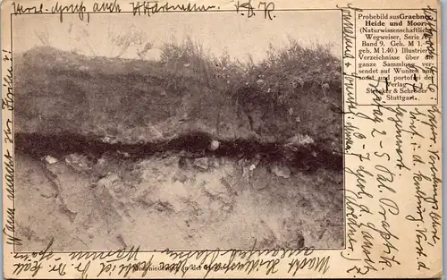 41944 - Deutschland - Moorniederung in der Heide - gelaufen