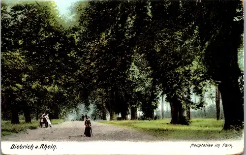 42053 - Deutschland - Biebrich a. Rhein , Hauptallee im Park - nicht gelaufen