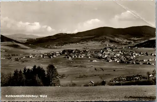 42113 - Deutschland - Ruhmannsfelden , Bayerischer Wald - gelaufen