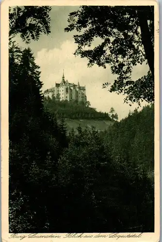 42234 - Deutschland - Burg Lauenstein , Blick aus dem Loquitztal , Fränkisch thüringische Grenzwarte - gelaufen 1927