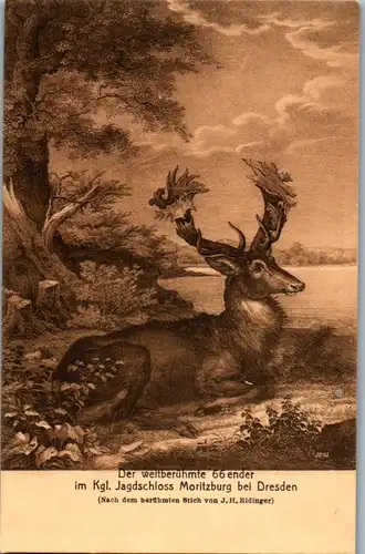 42264 - Deutschland - Moritzburg , Dresden , 66-Ender im Jagdschloss , J. J. Ridinger - nicht gelaufen 1913