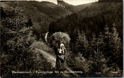42384 - Deutschland - Warmensteinach , Fichtelgebirge , Moosbachsteig , Heubringung - nicht gelaufen