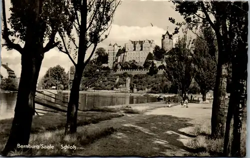 42407 - Deutschland - Bernburg , Saale , Schloß - gelaufen