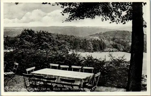 42469 - Deutschland - Schmiedefeld , Kr. Schleusingen , Berghotel Stutenhaus am Adlersberg , Stutenwald - nicht gelaufen