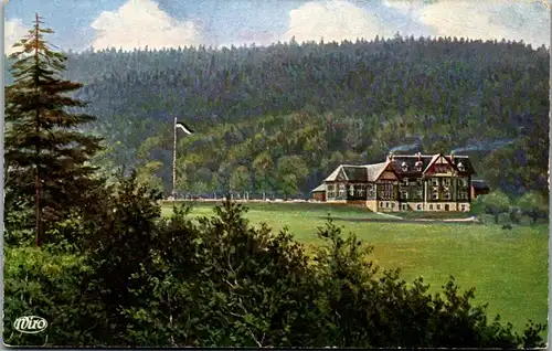 42472 - Künstlerkarte - Schmiedefeld , Kr. Schleusingen , Berghotel Stutenhaus am Adlersberg , Stutenwald - gelaufen 1917