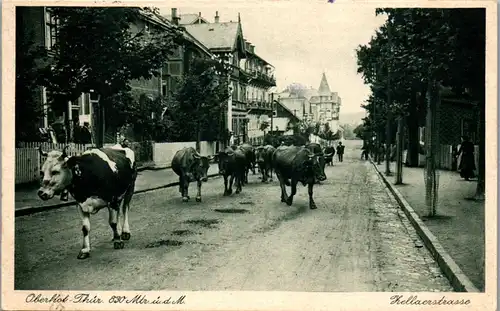 42492 - Deutschland - Oberhof , Thüringen , Zellaer Straße mit Kuhherde - gelaufen 1929
