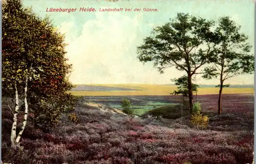 42592 - Deutschland - Lüneburger Heide , Landschaft bei der Günne - gelaufen