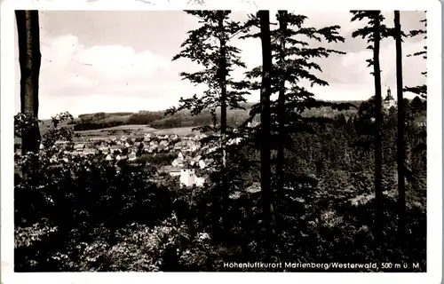 42651 - Deutschland - Marienberg , Westerland , Panorama - gelaufen 1955