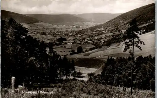 42680 - Deutschland - Schneeberg , i. Odenwald , Panorama - gelaufen 1956