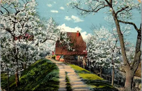 42748 - Künstlerkarte -  , Obstblüte im Altenlande - gelaufen 1914