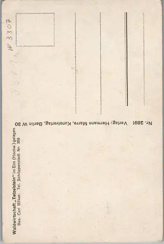 42749 - Deutschland - Tetzelstein , i. Elm , Waldwirtschaft - nicht gelaufen