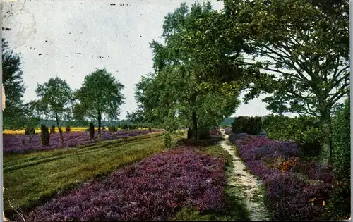 42765 - Deutschland - Lüneburger Heide ,  - gelaufen 1920