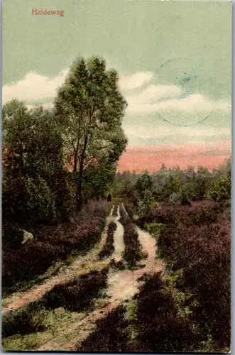 42768 - Deutschland - Lüneburger Heide , Heideweg - gelaufen 1906