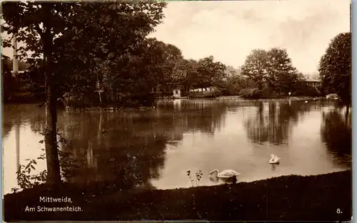 42831 - Deutschland - Mittweida , Am Schwanenteich - gelaufen 1925