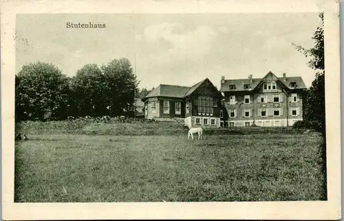 42855 - Deutschland - Schmiedefeld , Berggasthaus Stutenhaus , Thür. Wald , Adlersberg - gelaufen 1937