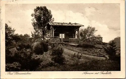 42920 - Deutschland - Bad Hermannsborn , Alpinum mit Sennhütte - gelaufen 1929