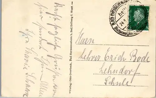 42920 - Deutschland - Bad Hermannsborn , Alpinum mit Sennhütte - gelaufen 1929