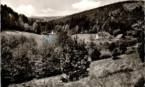 43002 - Deutschland - Laudenbach am Main , Forsthäuser im Brunntal - gelaufen 1962