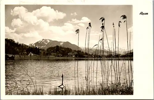 43008 - Deutschland - Immenstadt , Alpsee , Allgäu - gelaufen 1970