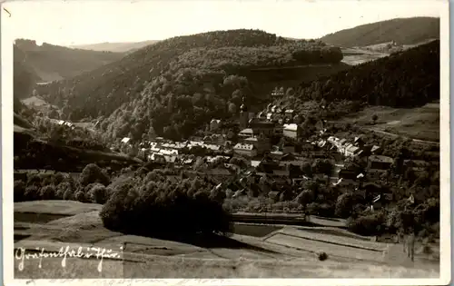 43029 - Deutschland - Gräfenthal , Thür. , Panorama - gelaufen 1937