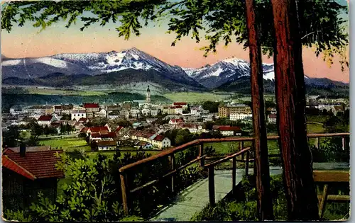 43347 - Deutschland - Traunstein , Panorama - gelaufen 1920