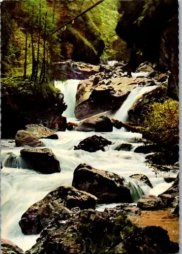 43365 - Deutschland - Ramsau Berchtesgaden , Im Zauberwald - nicht gelaufen