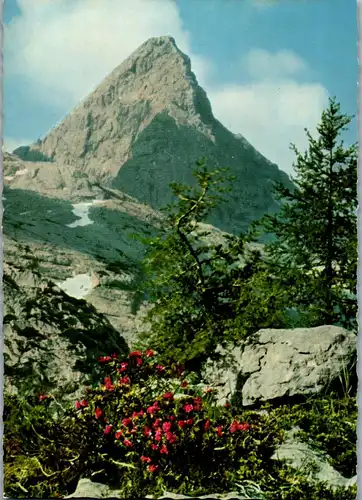 43369 - Deutschland - Berchtesgaden , Bergfrühling Schönfelderspitze im Steinernen Meer - nicht gelaufen