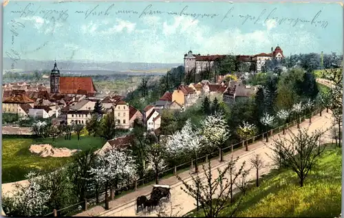 43516 - Deutschland - Pirna , Schloß Sonnenstein , Panorma - gelaufen 1908